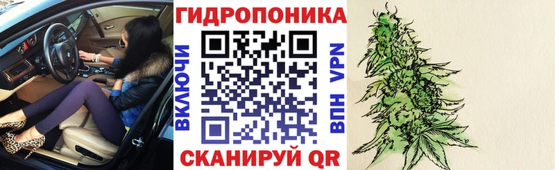 Бошки Шишки Amnesia Протвино